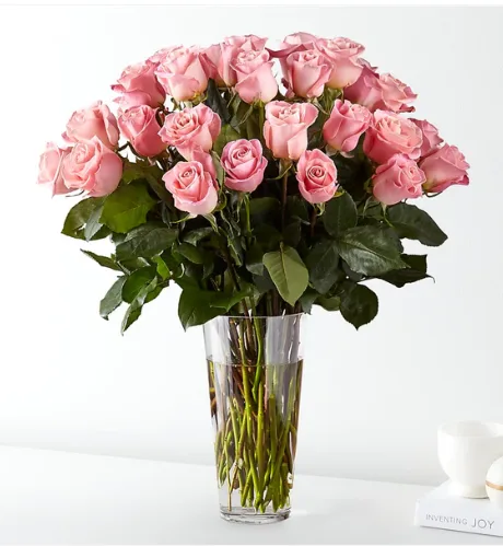 36 Long stem Pink Roses 36 Long stem Pink Roses