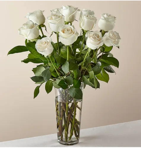 12 Long Stem White Roses 12 Long Stem White Roses