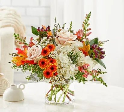 Autumn Equinox Designer choice