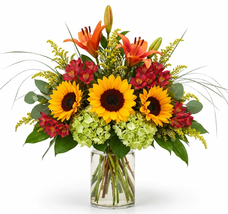 Verdant Sunburst Verdant Sunburst