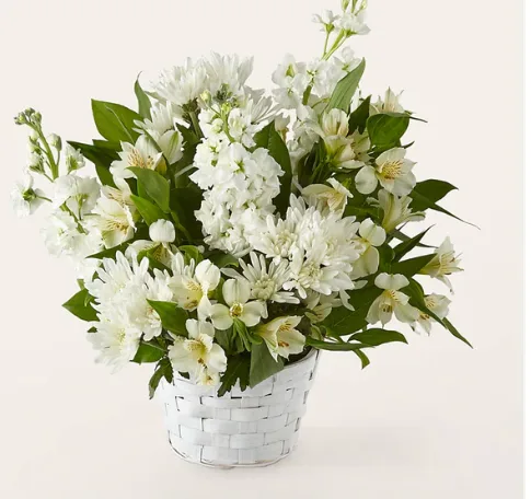 Eternal Affection Arrangement Eternal Affection Arrangement