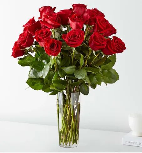 Timeless 24 Red Roses