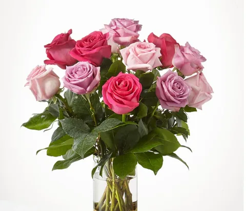 Pure Beauty Mixed Roses Pure Beauty Mixed Roses