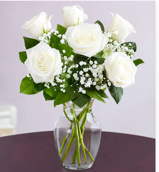 6 White Roses 6 White Roses