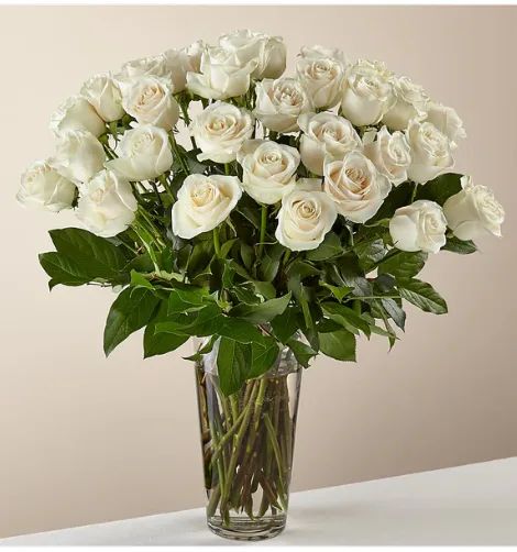 36 Long stem White Roses
