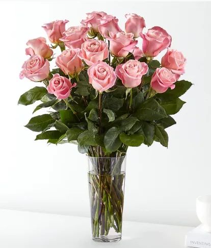 24 Long Stem Pink Roses