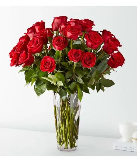 Timeless 36 Red Roses