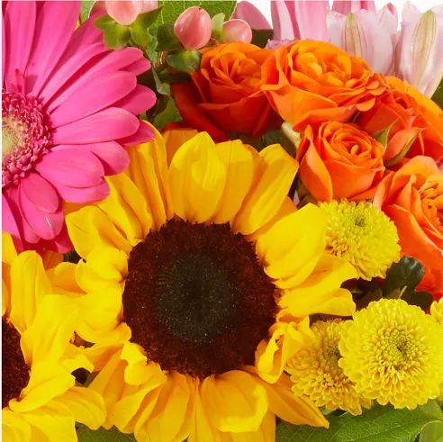 Designer’s Choice Bright and Vibrant Bouquet