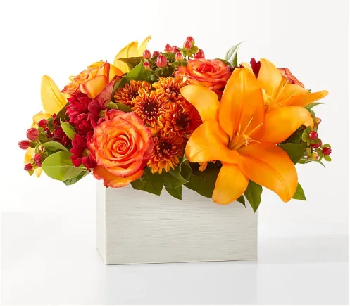 Bonfire Bouquet Bonfire Bouquet