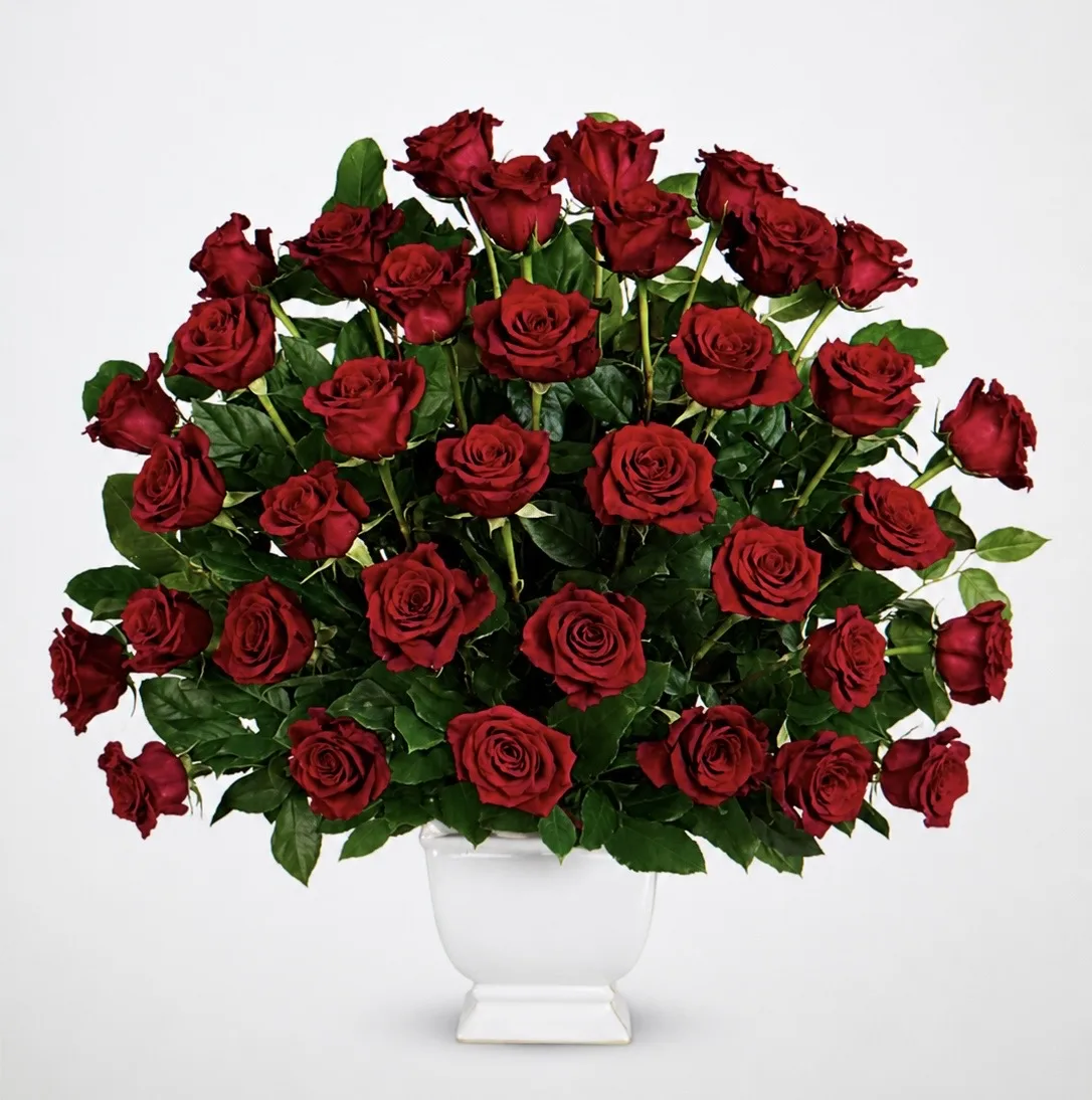 Rose Tribute Rose Tribute