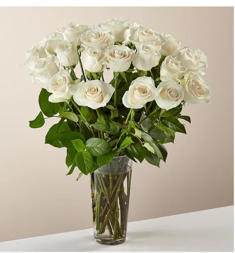 24 Long stem White Roses 24 Long stem White Roses