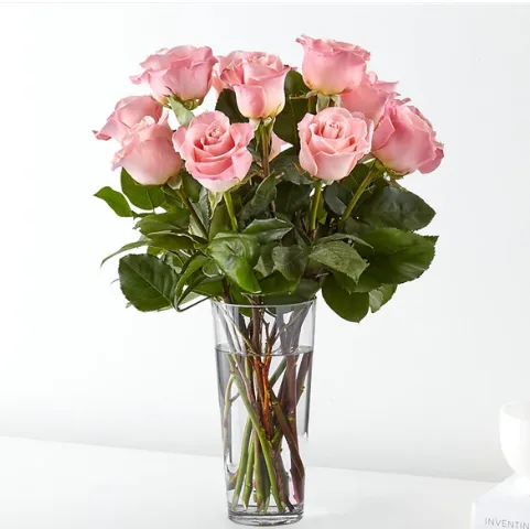 12 Long Stem Pink Rose Bouquet 12 Long Stem Pink Rose Bouquet