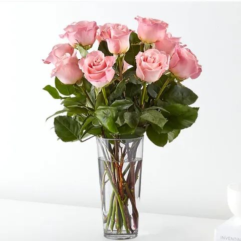 12 Long Stem Pink Rose Bouquet