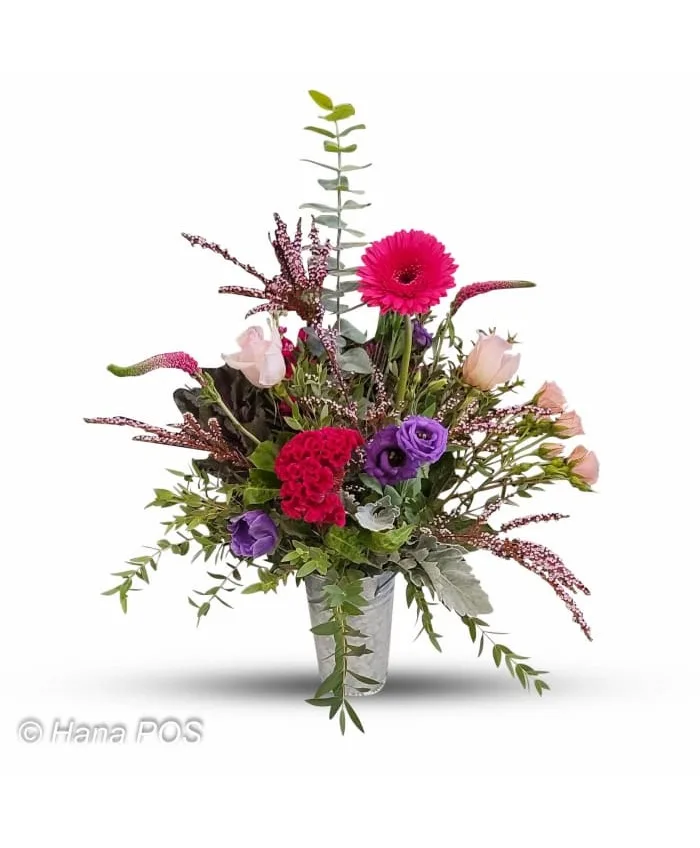 Bohemian Rapsody Contemporary Bohemian Rapsody Contemporary