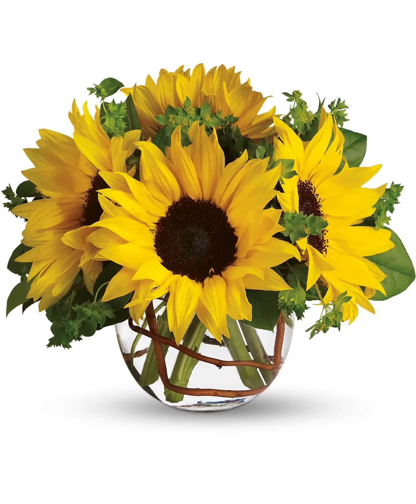 Sunny Delight Custom Design