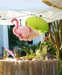 Aiken Musem Garden Club Event - Luau Theme