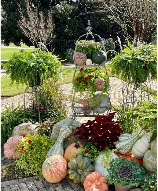Ceremony/Reception Decor Ceremony/Reception Decor