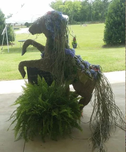 Moss Horse Highfields Center- Event
