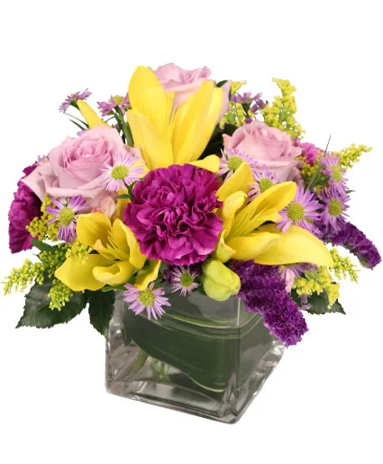 HIGH IMPACT Arrangement HIGH IMPACT Arrangement