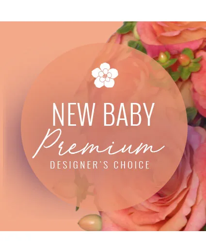 Stylish New Baby Premium Designer's Choice Stylish New Baby Premium Designer's Choice