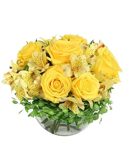 Sweet Lemon Roses Rose Arrangement Sweet Lemon Roses Rose Arrangement