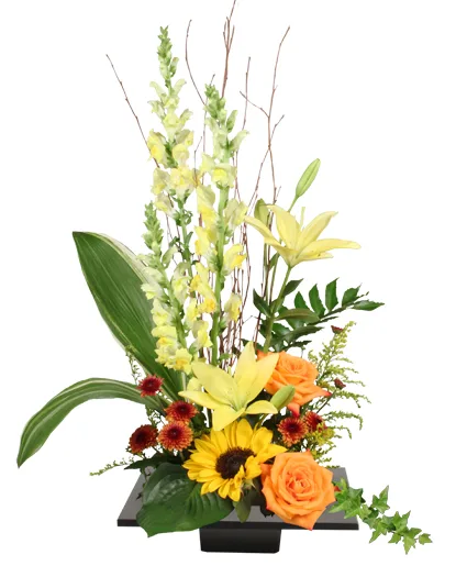 Expressive Blooms Arrangement Expressive Blooms Arrangement