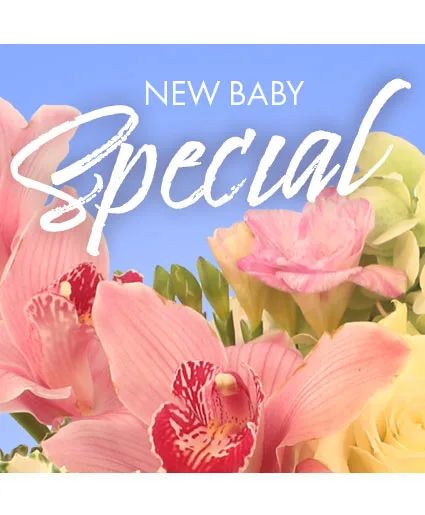 New Baby Favorite Designer's Choice