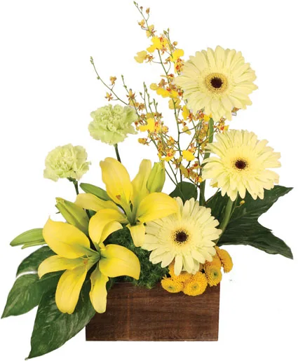Joyous Sunlight Floral Design Joyous Sunlight Floral Design