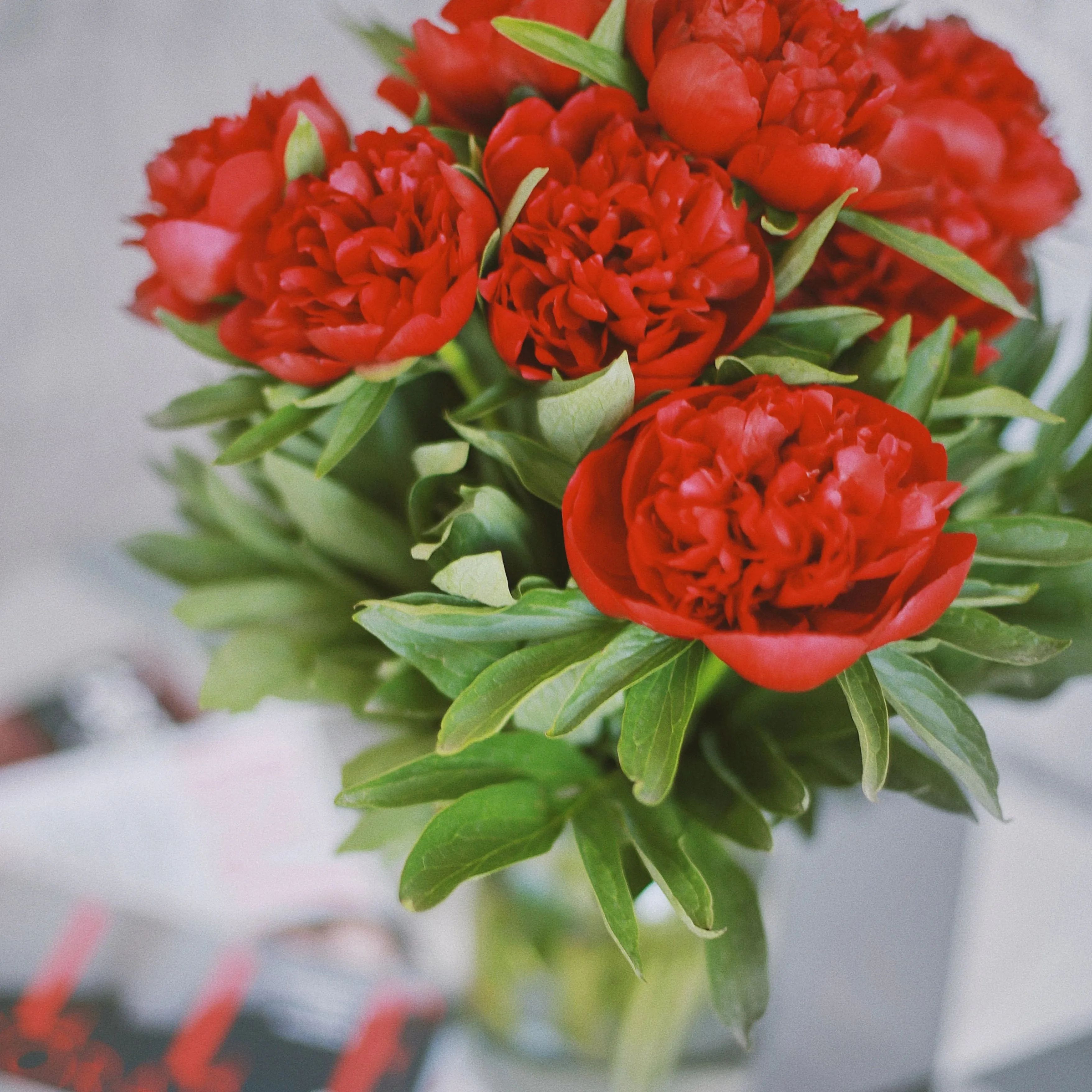 Flower shop image