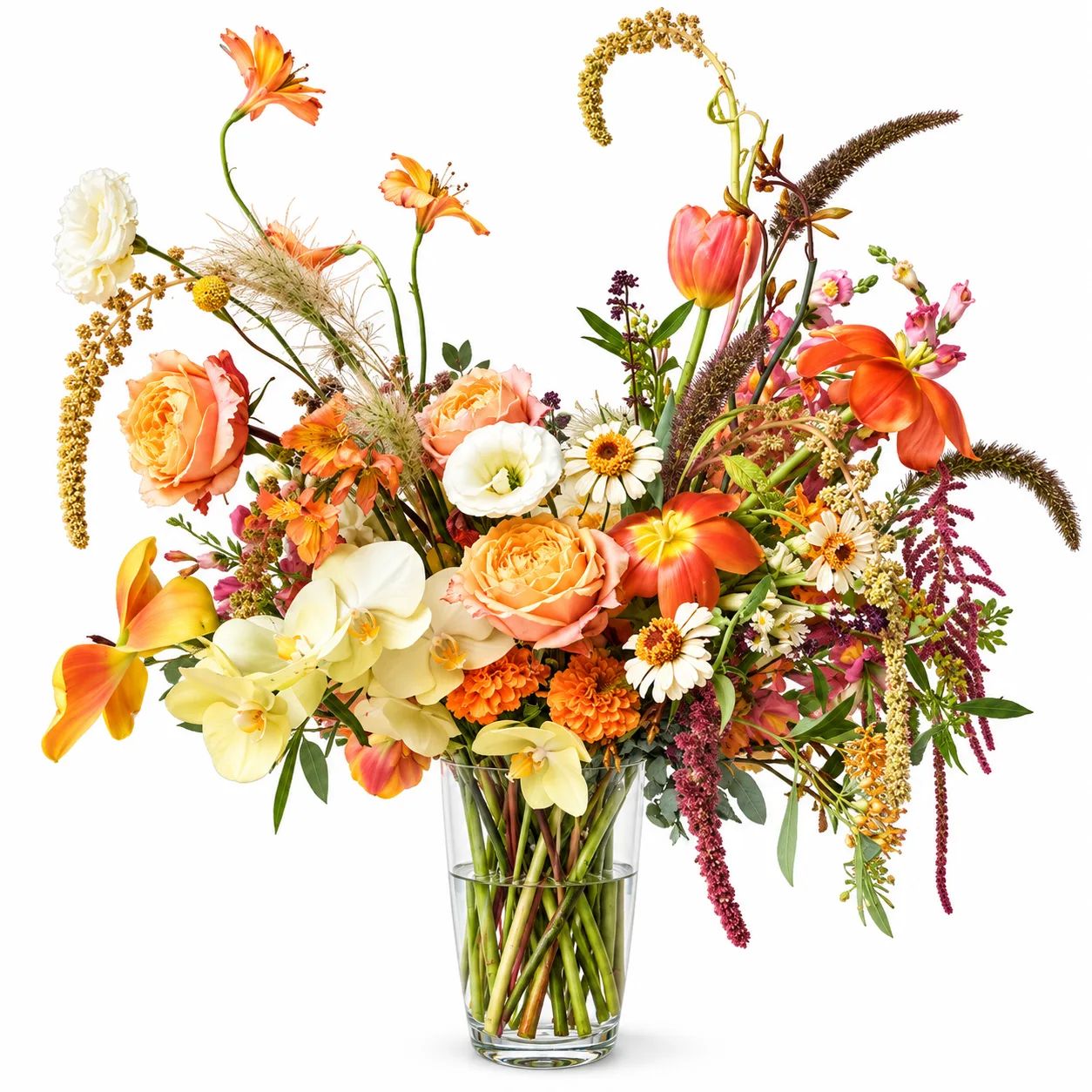 Autumn Wild