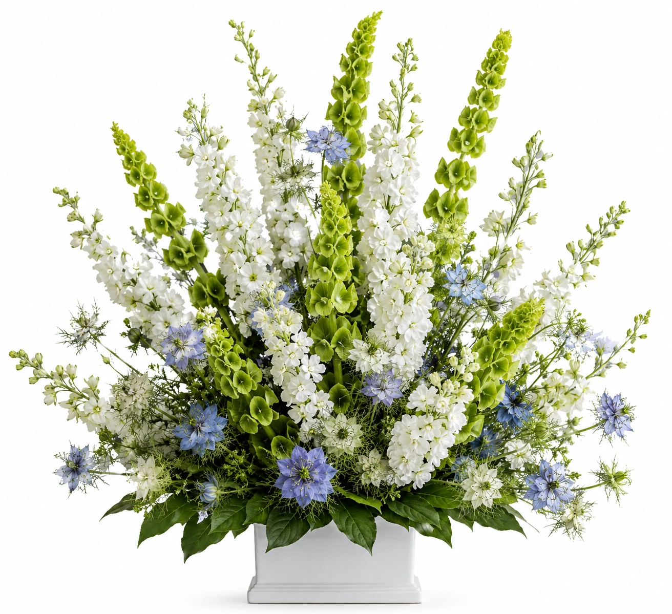 Sympathy collection Sympathy collection