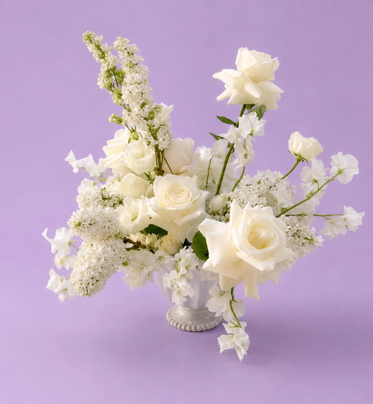 Compote White
