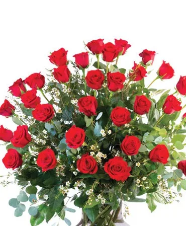 24 ROSES 24 ROSES