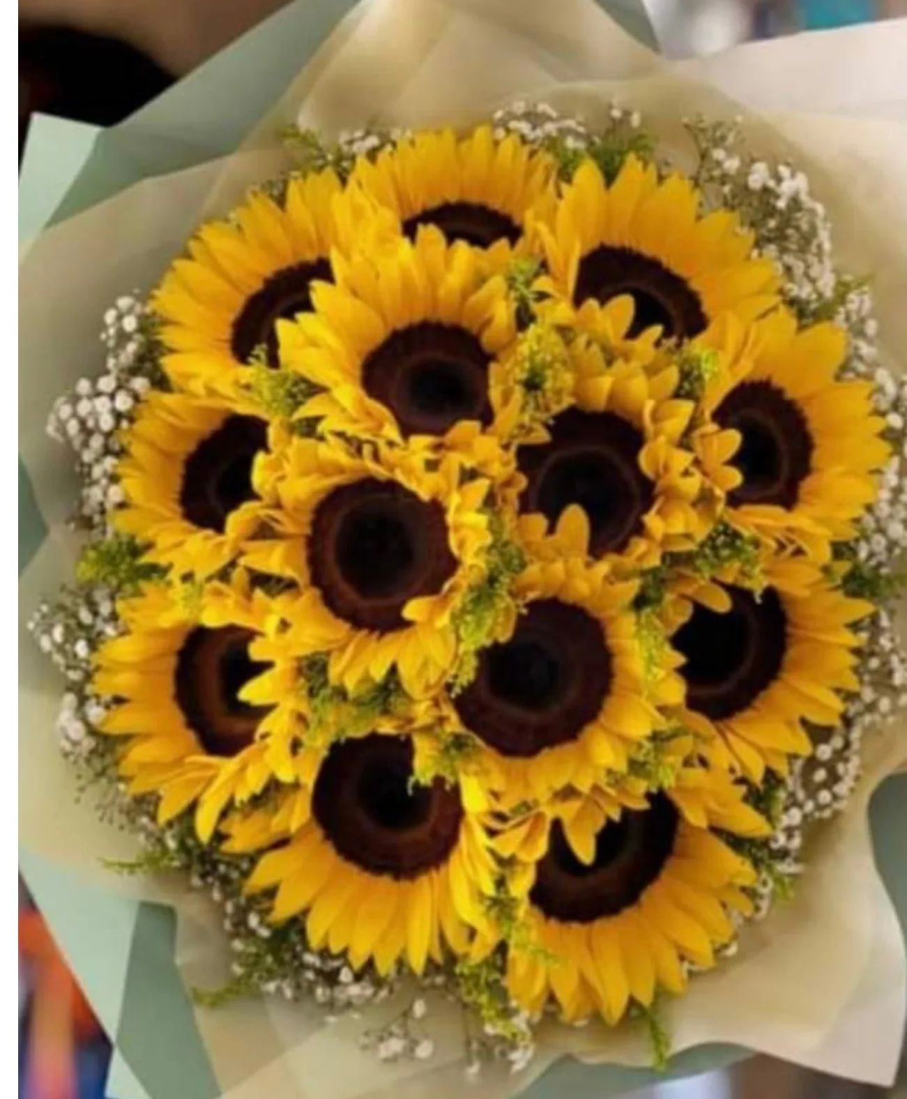 SUN FLOWERS