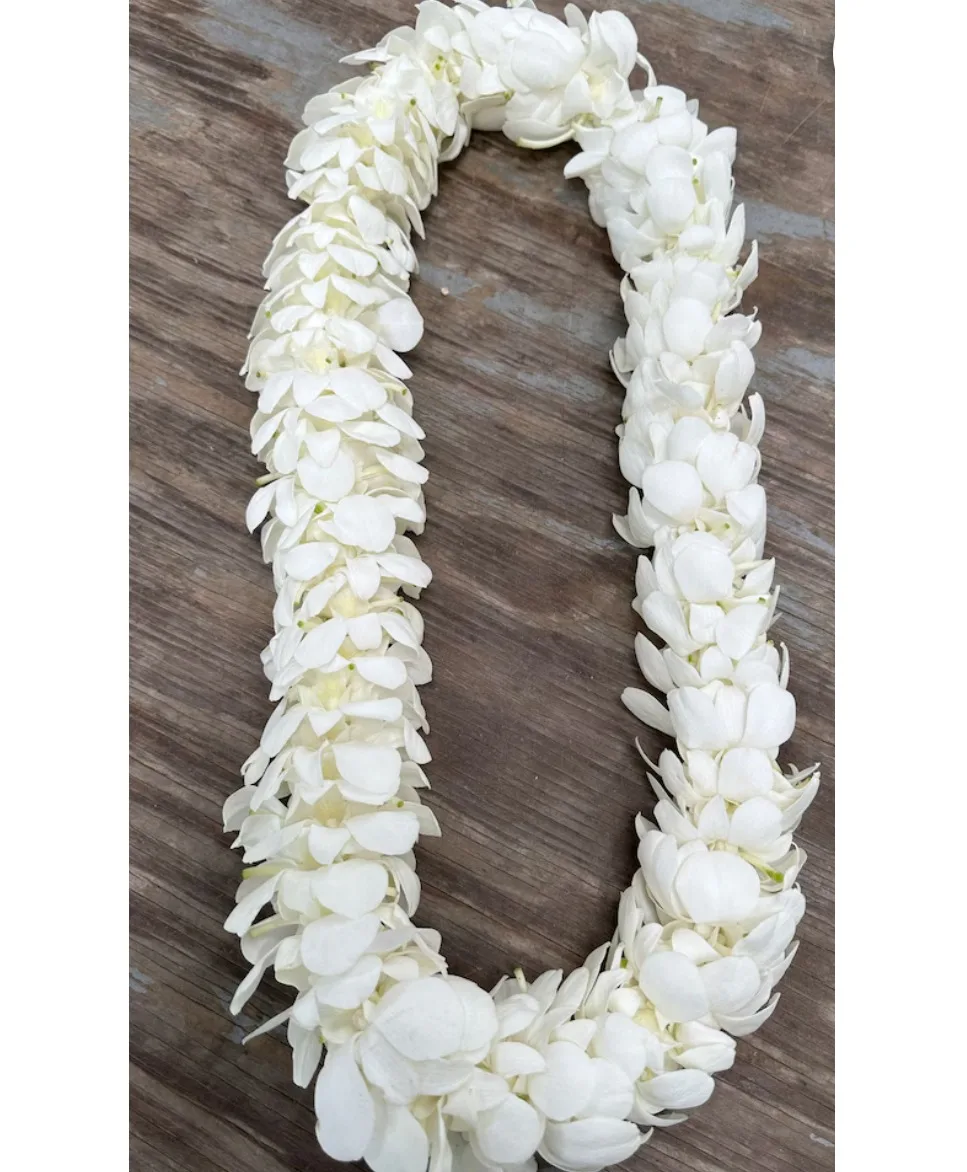 Orchid Lei white Orchid Lei white