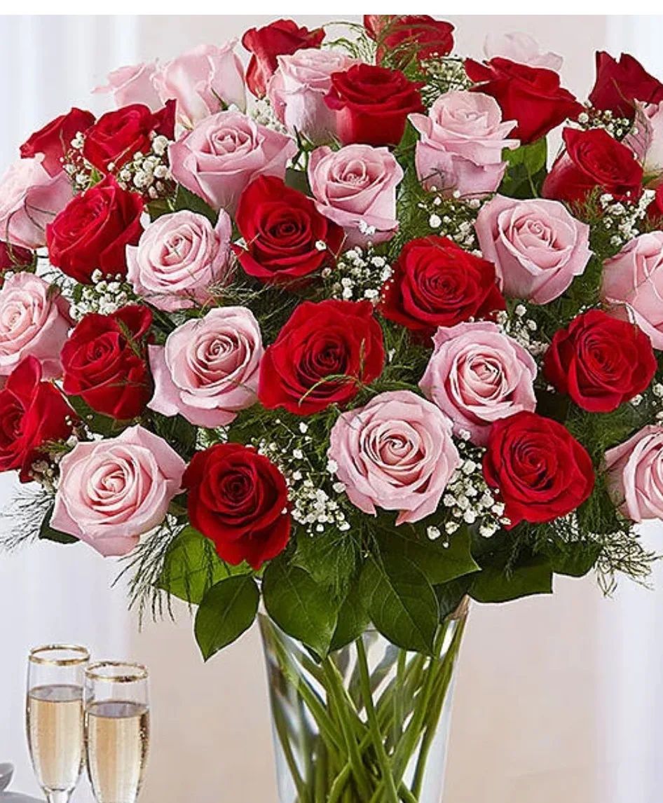 24 ROSES RED AND PINK