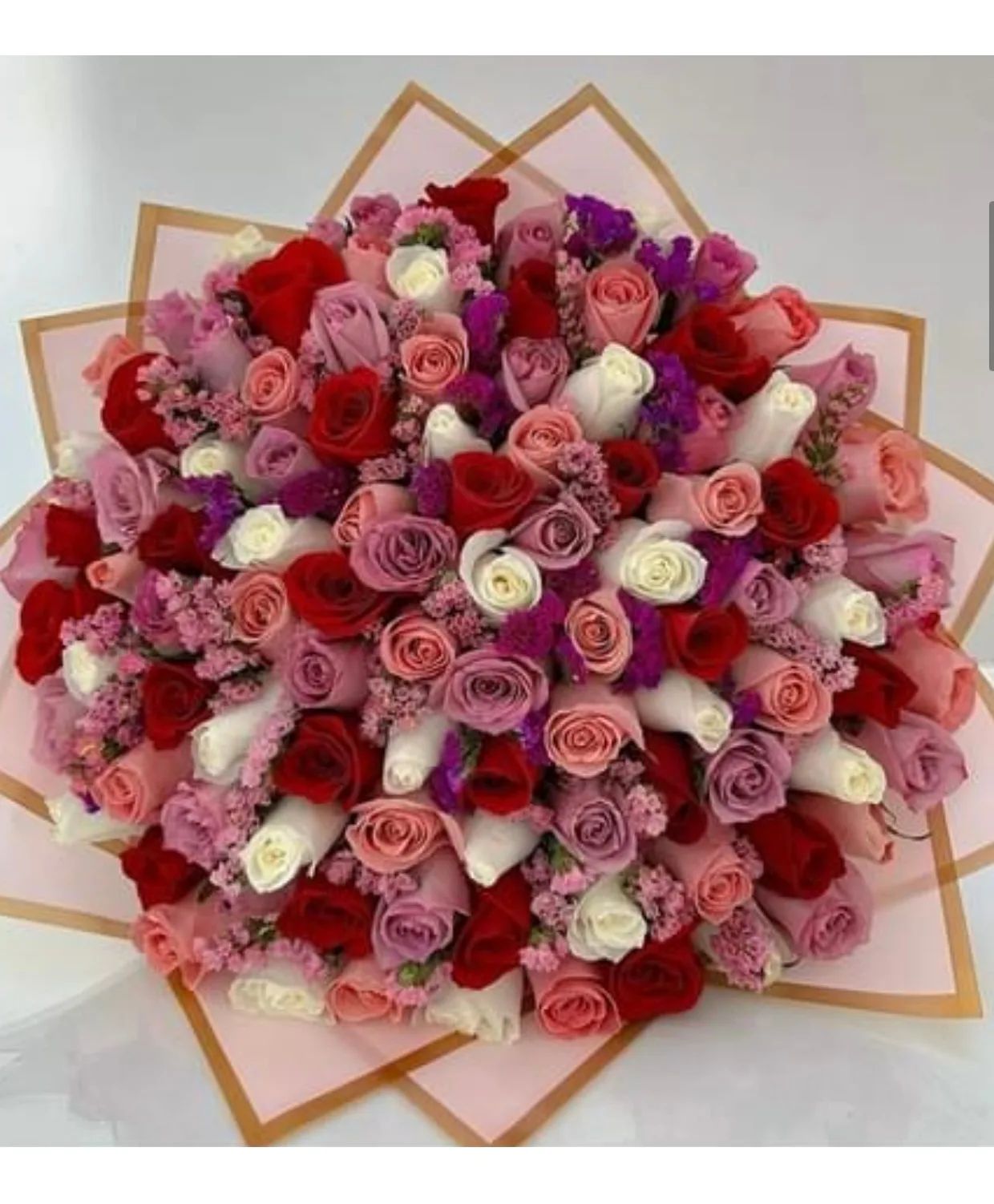 100 ROSES MULTI