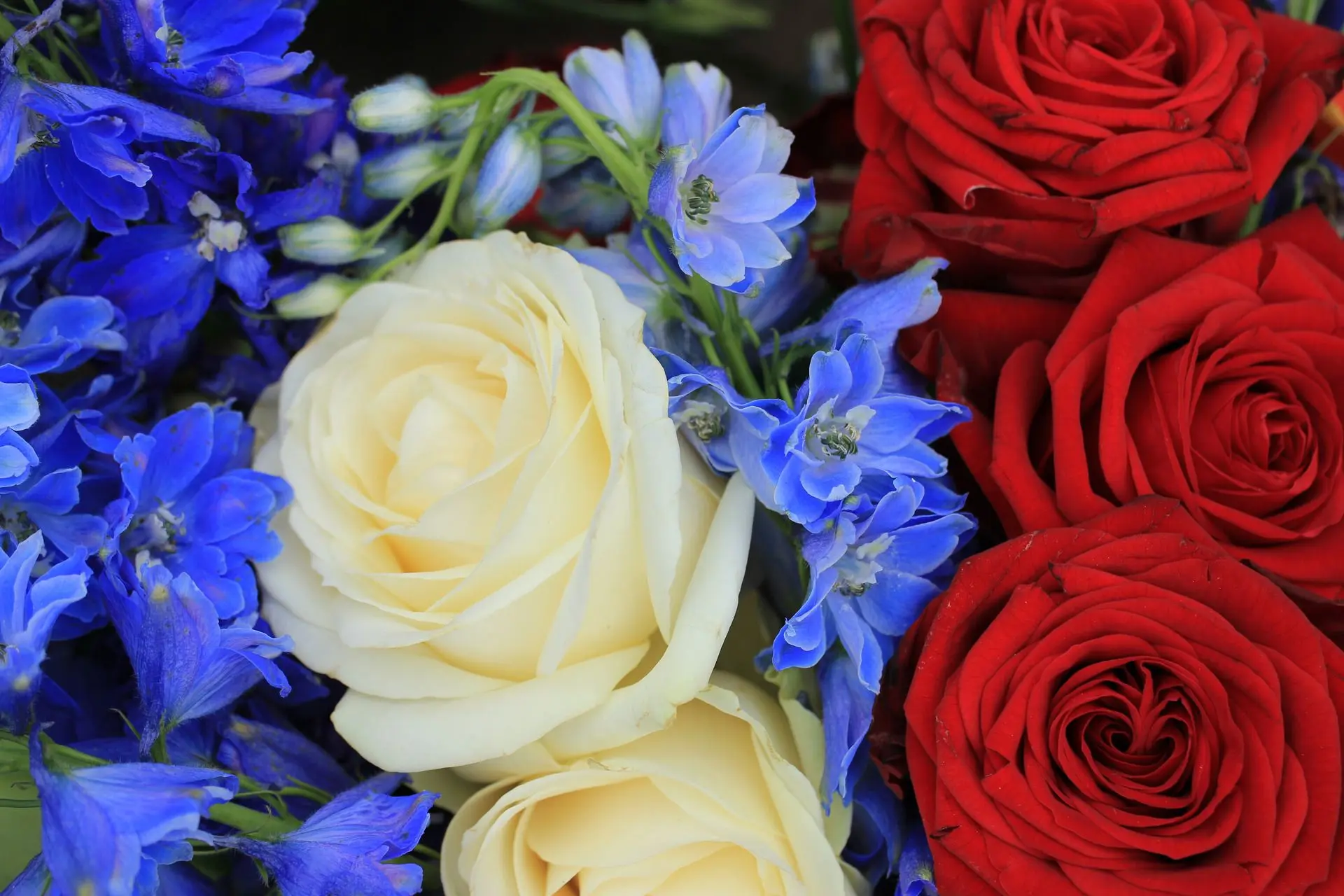 Florist Choice Florist Choice