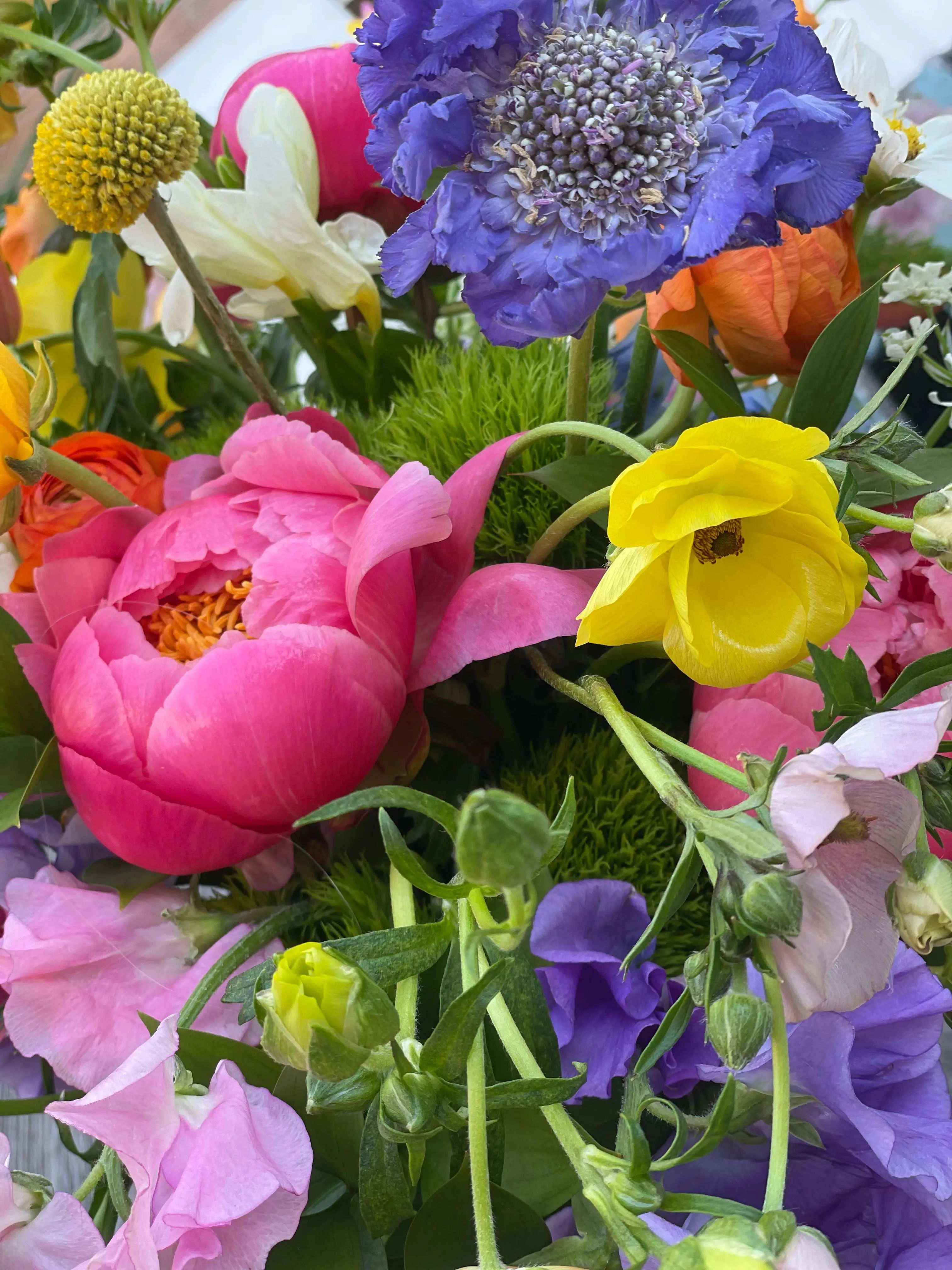 Featured flowers