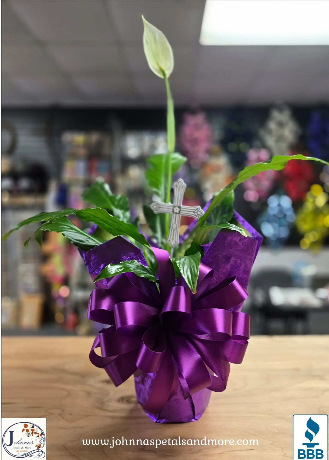 Peace Lily Green Plant