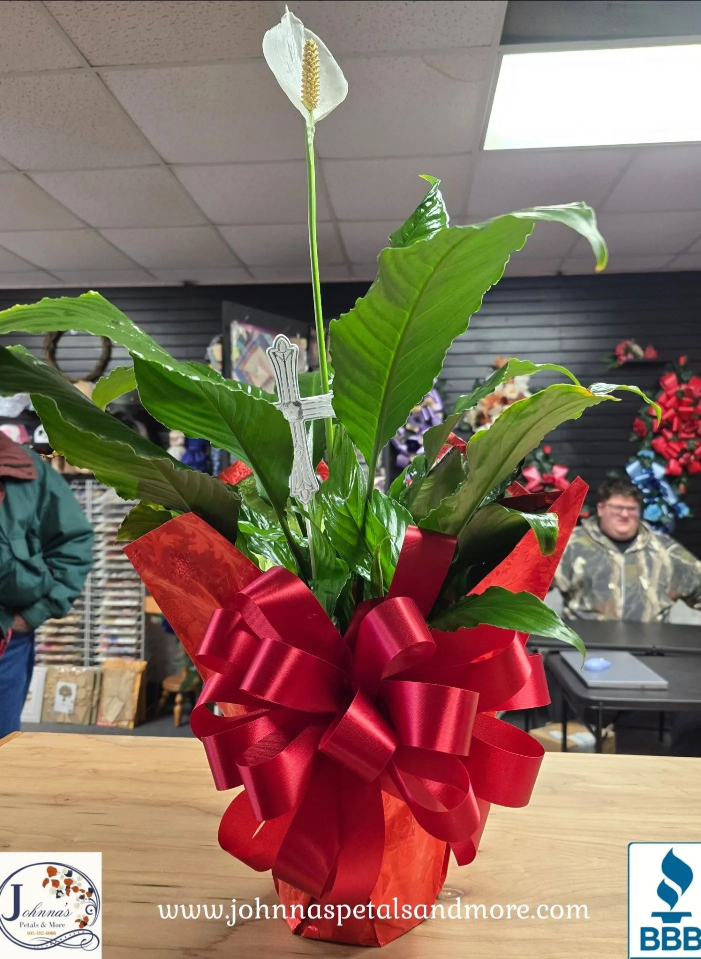 Peace Lily Green Plant