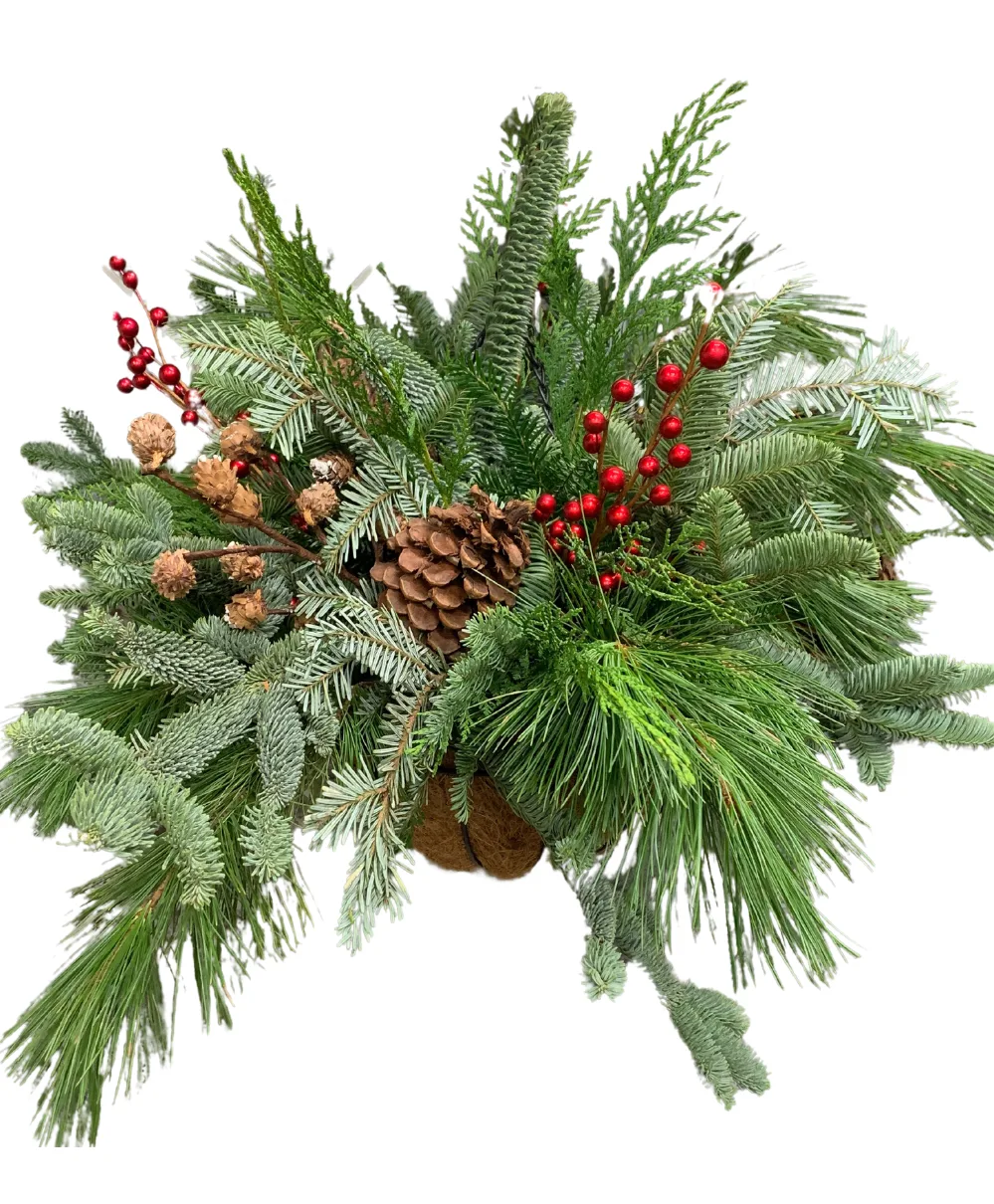 Winter Wonderland Hanging Basket Winter Wonderland Hanging Basket
