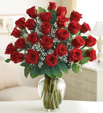 2 dozen Red Roses