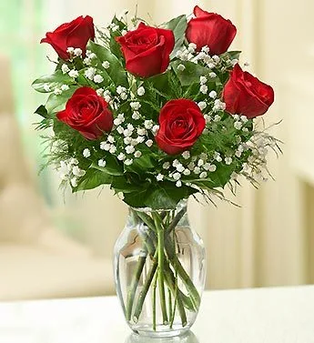 HALF DOZEN RED ROSES ROSES HALF DOZEN RED ROSES ROSES