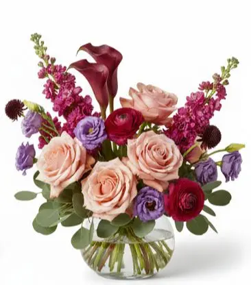 Plum & Blush Elegance Plum & Blush Elegance