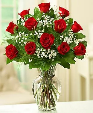 1 DOZEN LONG STEM RED ROSES 1 DOZEN LONG STEM RED ROSES