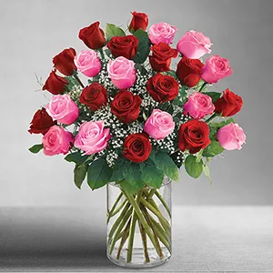 1 DOZEN RED 1 DOZEN PINK ROSES ROSES 1 DOZEN RED 1 DOZEN PINK ROSES ROSES