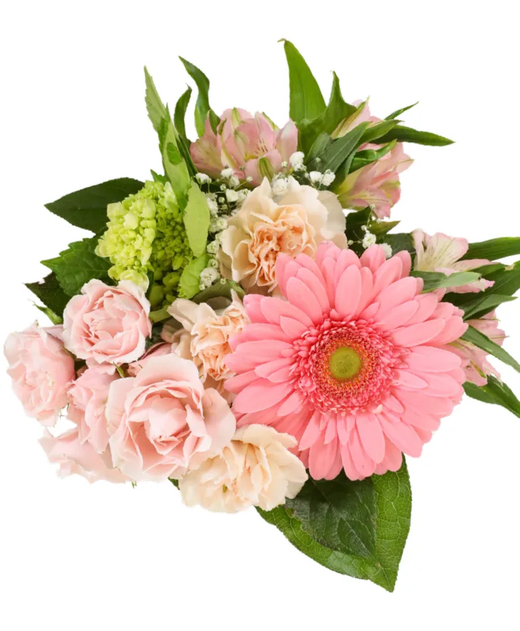 Affection Bouquet Bouquet Affection Bouquet Bouquet