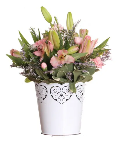 Cupid Arrangement Cupid Arrangement