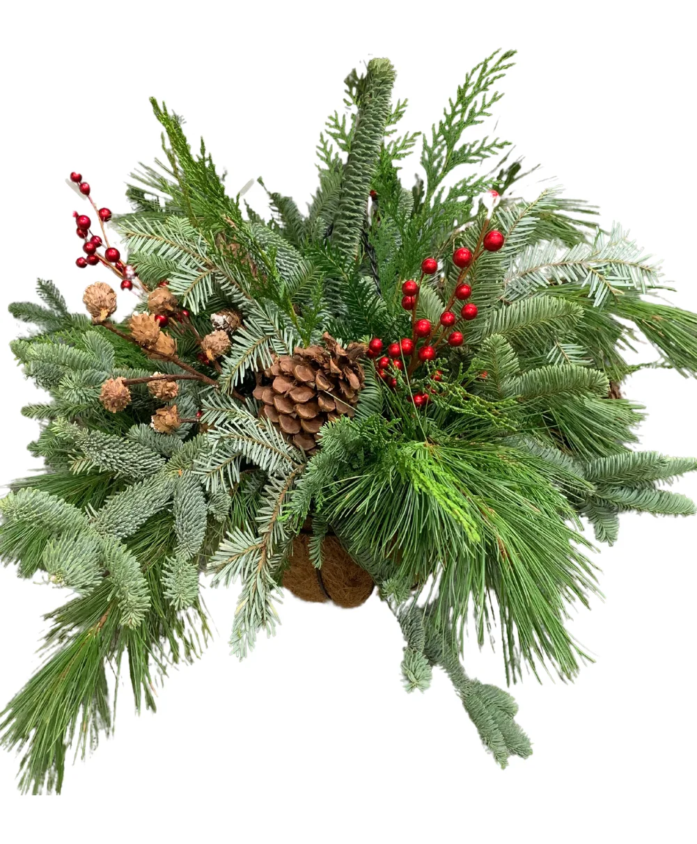 Winter Wonderland Hanging Basket Winter Wonderland Hanging Basket